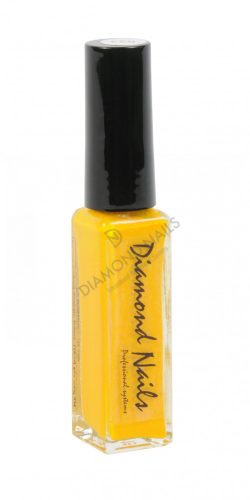 Acryl Nail Art Lack 10ml - DN023