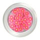 Blumen in Pink