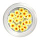 Blumen in Gelb D.
