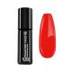 Gel Polish - DN089 Bloody Orange