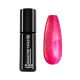 Gel Polish - DN164 Shiny Fuxia