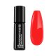 Gel Polish - DN266 Coral Beach 