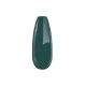 Gel Polish 4ml - DN275 Dark Slate Grey