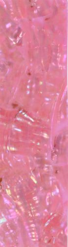 Seashell Wrap - Rosa