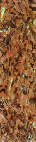 Seashell Wrap - Gold