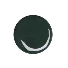 Farbgel in Dunkelgrün 040