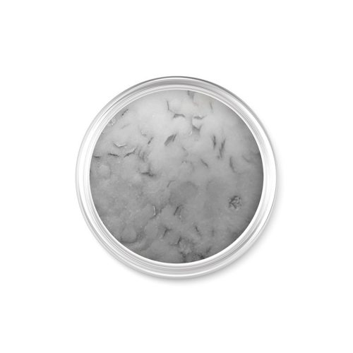 Acryl Pulver - DN058